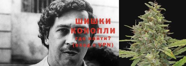 трава Алзамай