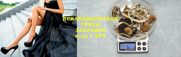 стафф Алексеевка