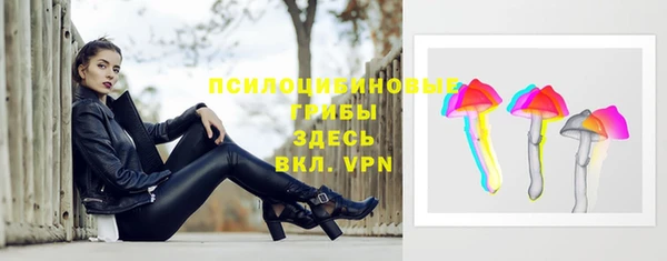стафф Алексеевка
