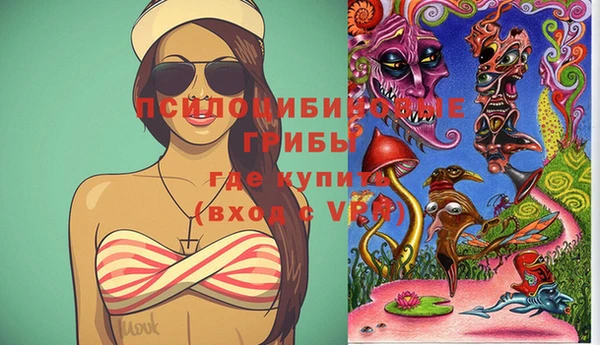 стафф Алексеевка